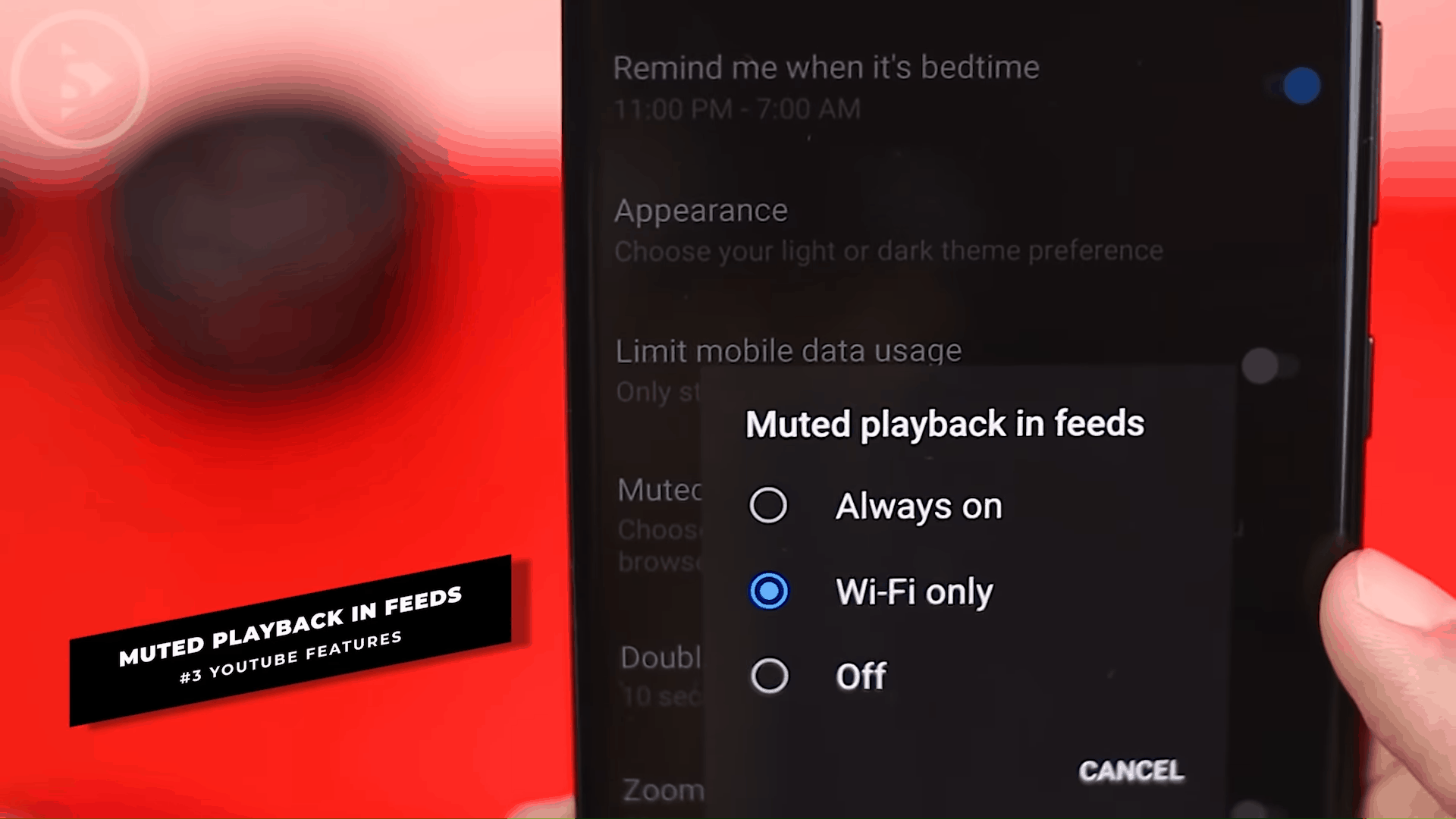 Muted Playback in Feeds